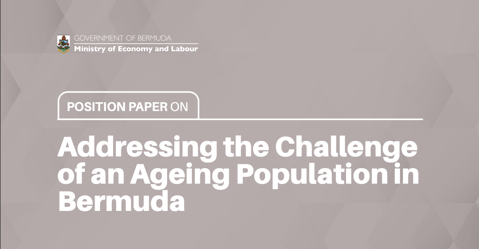 Addressing the Challenge of an Ageing Population in Bermuda