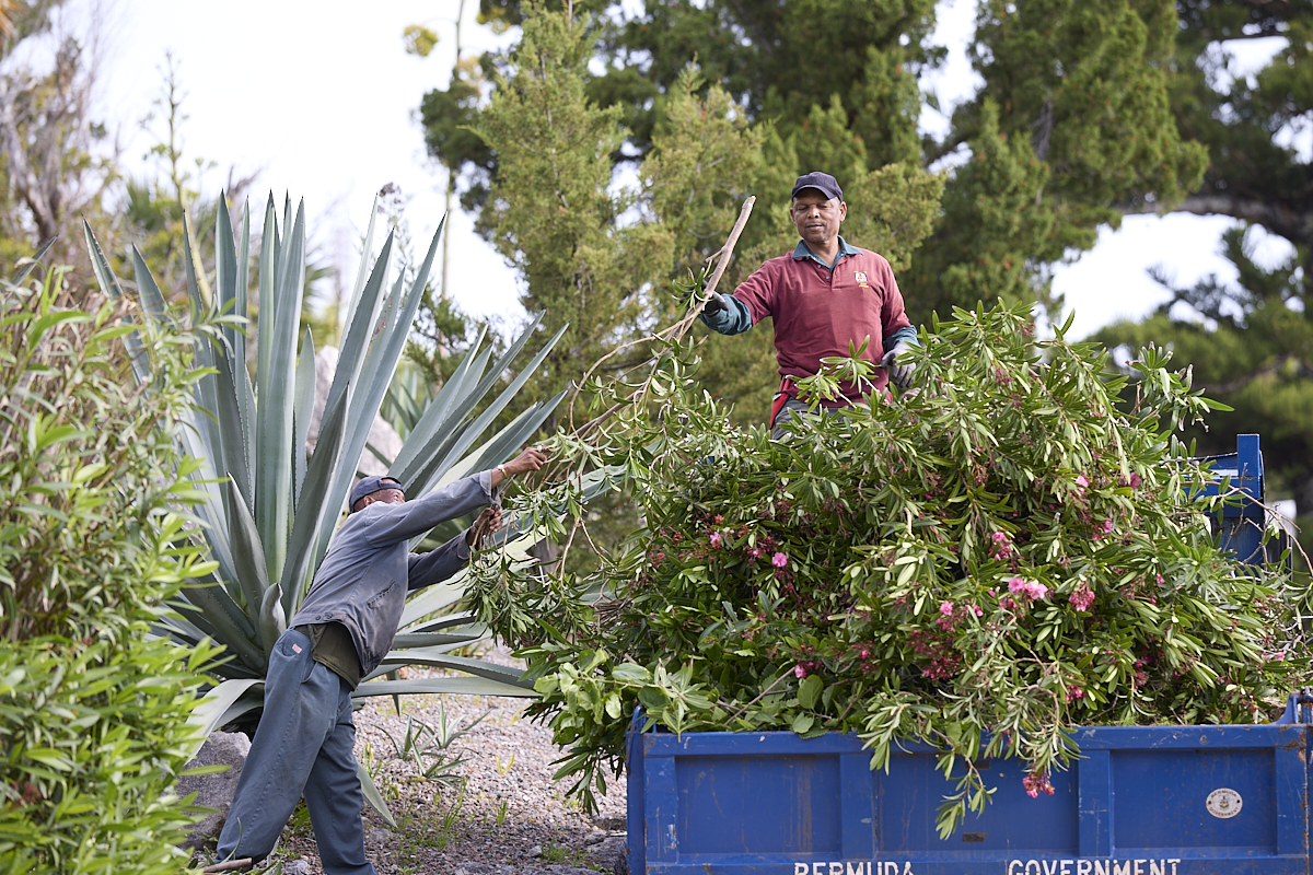 Department of Parks Workers Prepare Botanical Gardens for 85th Annual Agricultural Exhibition