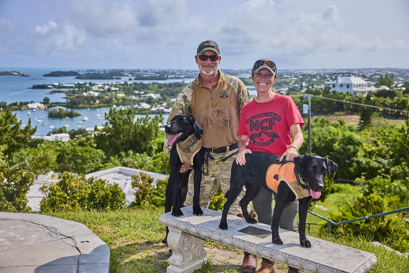 Specialist Team Begins Ten-Day Rattlesnake Search in Southampton